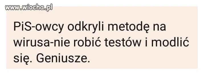 Brawo wy