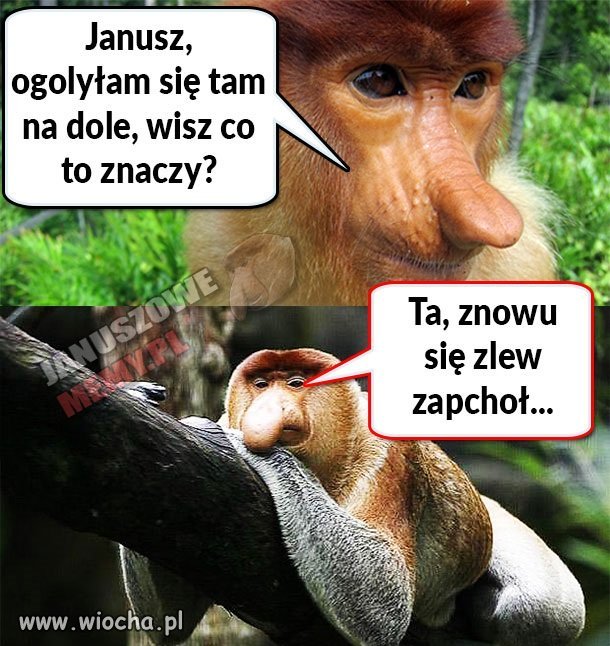 Ona jest