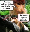 Ona jest