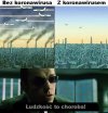 Ludzkość to choroba...