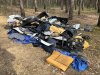 Spacer po lesie wzmacnia odporność