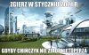 Wielki strateg da rade