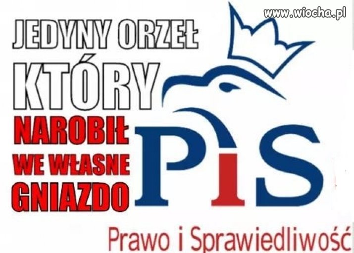 Tylko pisiory