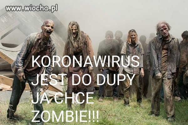 Nuda tylko wirus i wirus