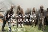 Nuda tylko wirus i wirus