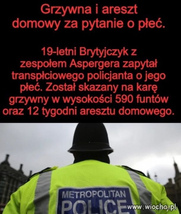 Tymczasem na wyspach 