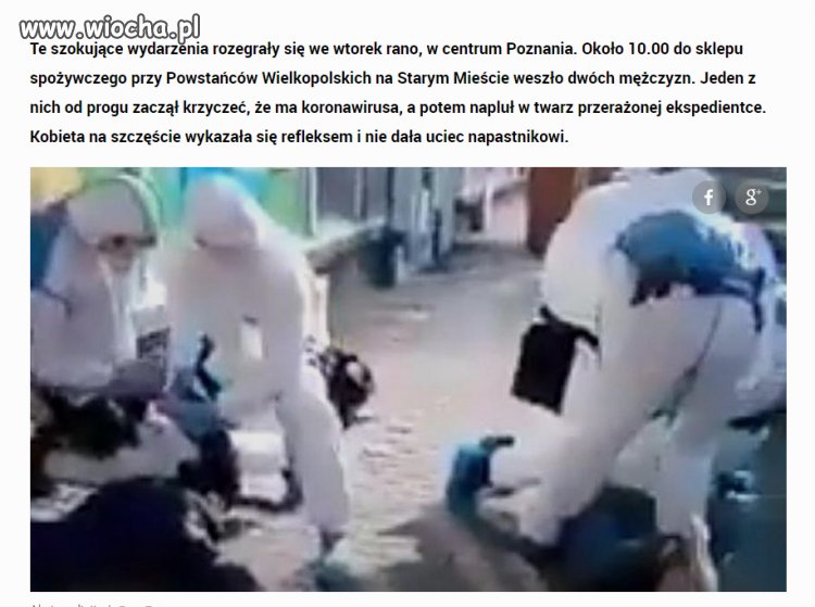 Pandemia głupoty