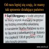 Skutecznie działające sądy. 