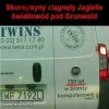 Rodzinne tradycje