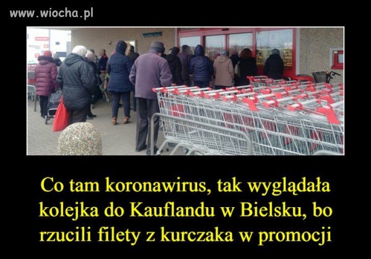 Żenada