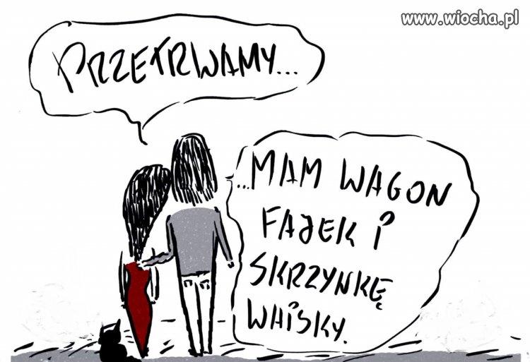 Tytuł ukradli