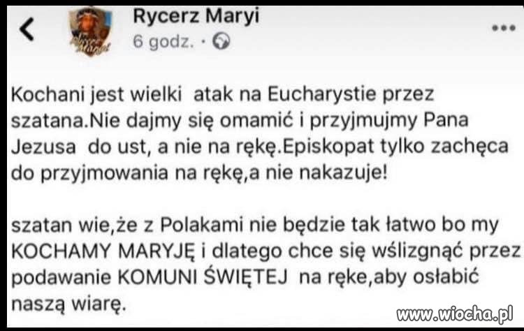 Debile, wszędzie debile.