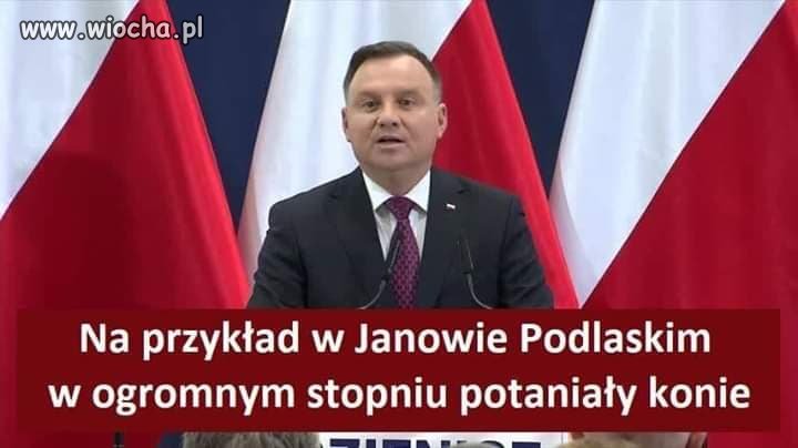 Wszyscy do Janowa po konie
