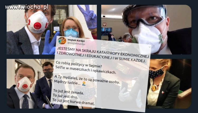Stado błaznów