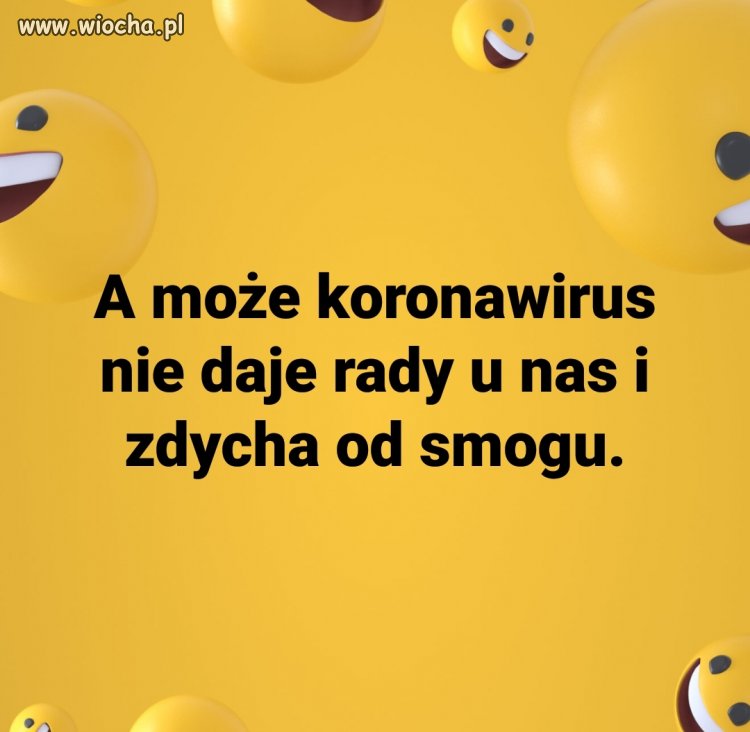 Wszystko 