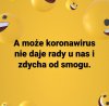 Wszystko 