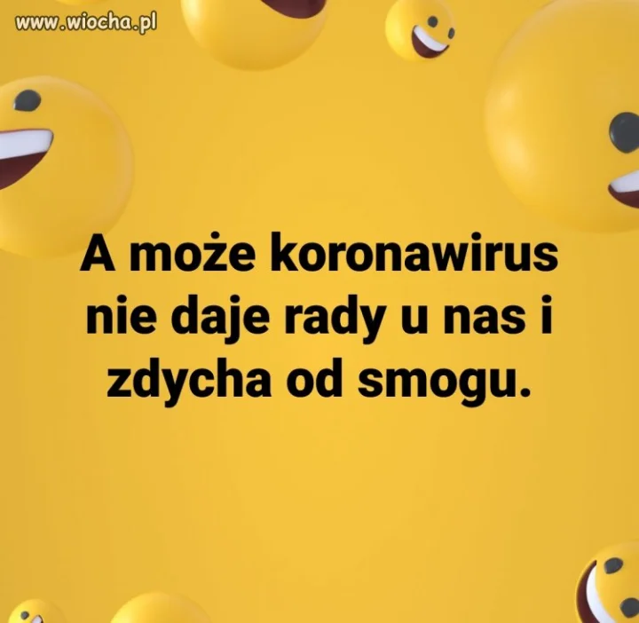 Wszystko 