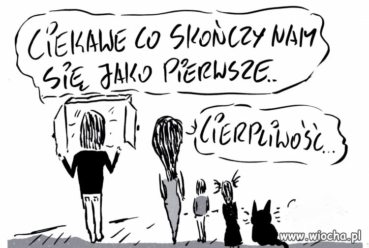 Tytuł ukradli