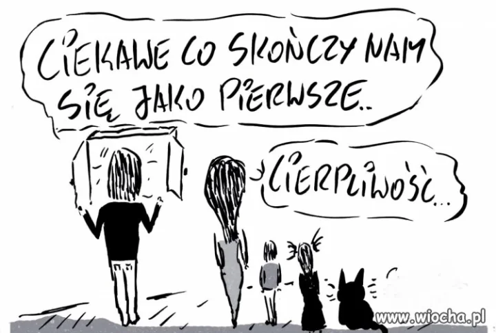 Tytuł ukradli