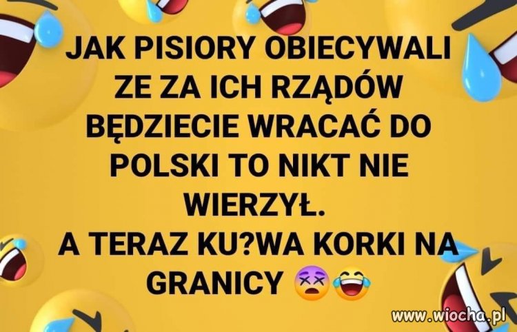 Zatęsknili, tylko za czym