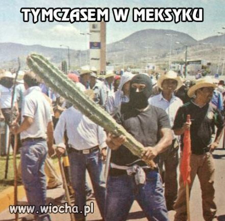 Meksykański kibol