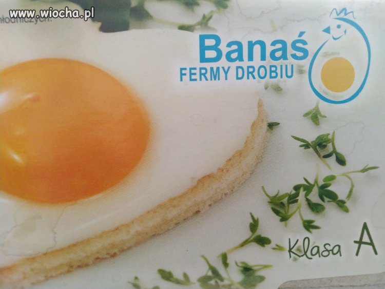 Jaja Banasia