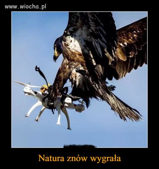 Natura 