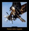 Natura 