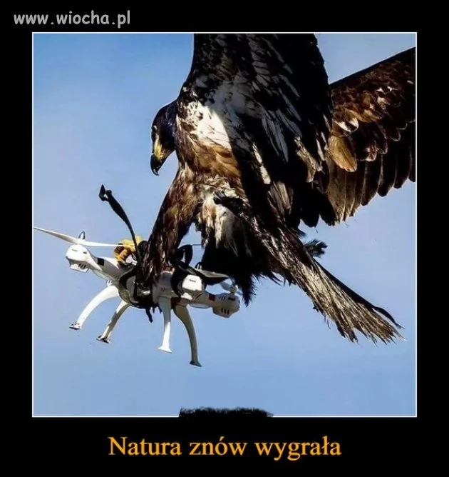 Natura 