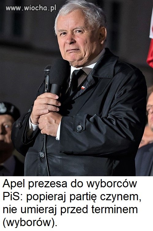 Bez tytułu.