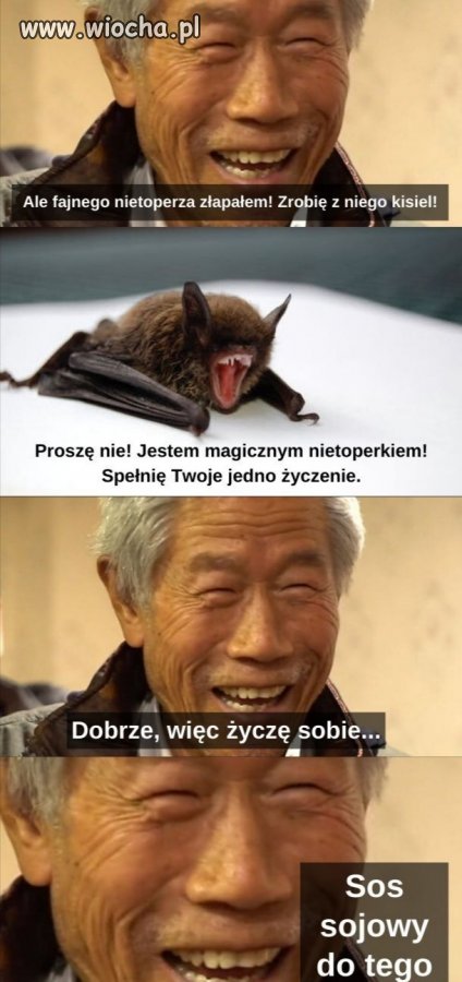Wszystko zjedzą 