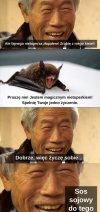 Wszystko zjedzą 