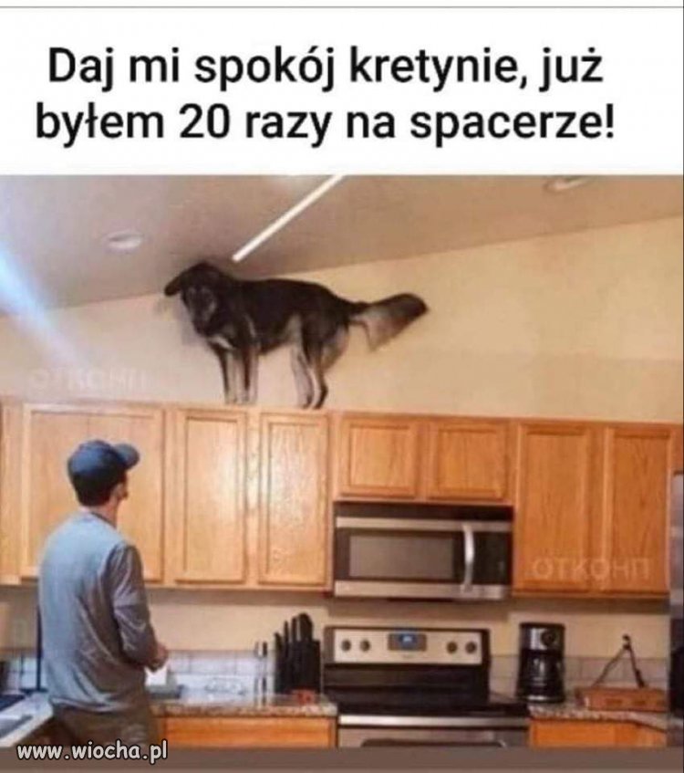 No chodź...