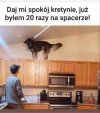 No chodź...