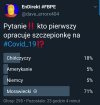 Głosujemy 