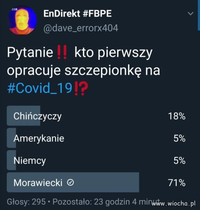 Głosujemy 