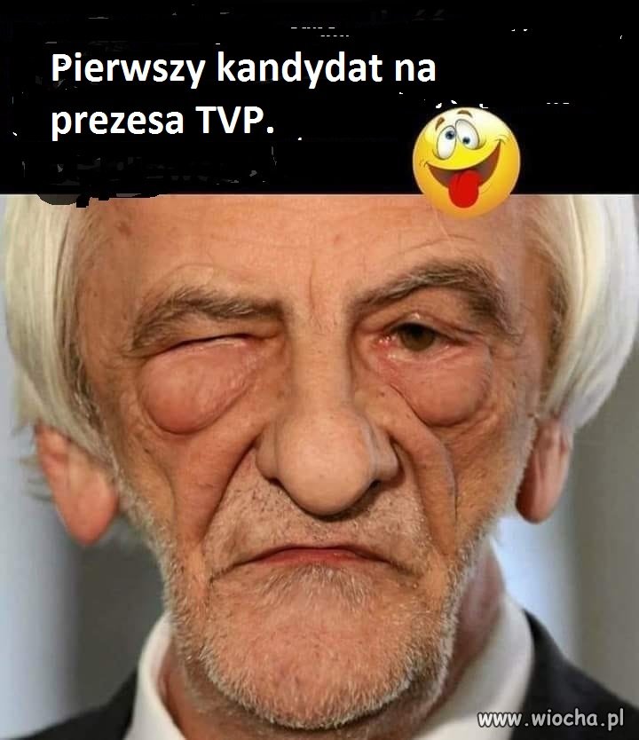 IDEALNY STATYSTA DO HORRORU