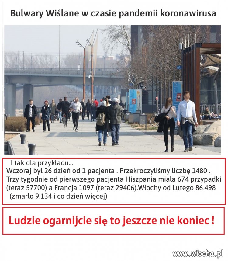  Trochę słońca i głupieją...