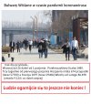  Trochę słońca i głupieją...