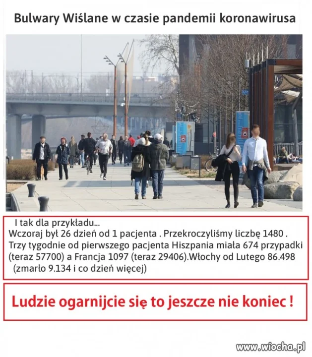  Trochę słońca i głupieją...