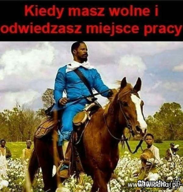 Na urlopie