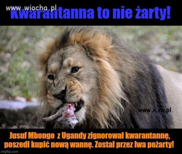 Kwarantanna to nie żarty! 