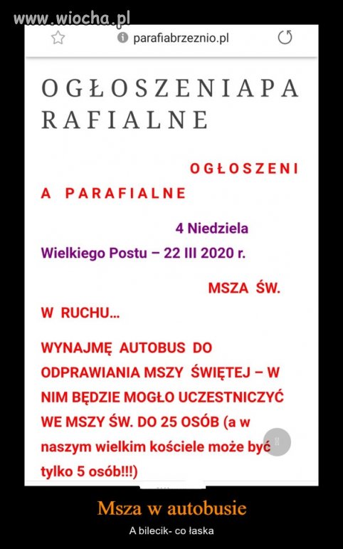 Ogłoszenia .
