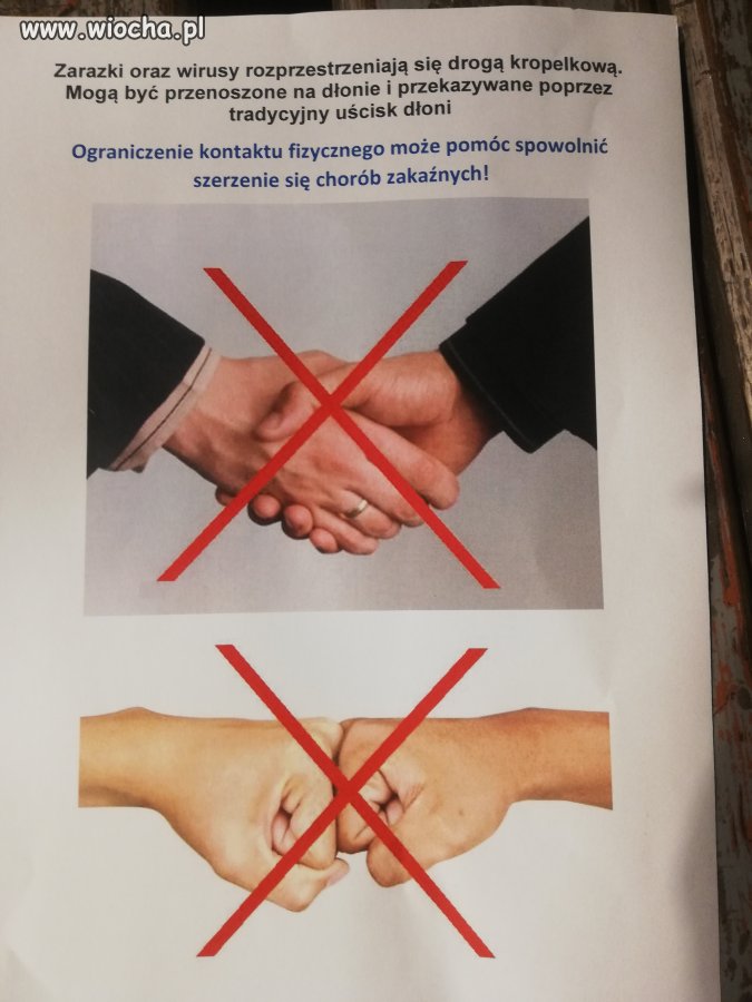 Koronoparanoja