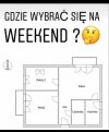 Plany