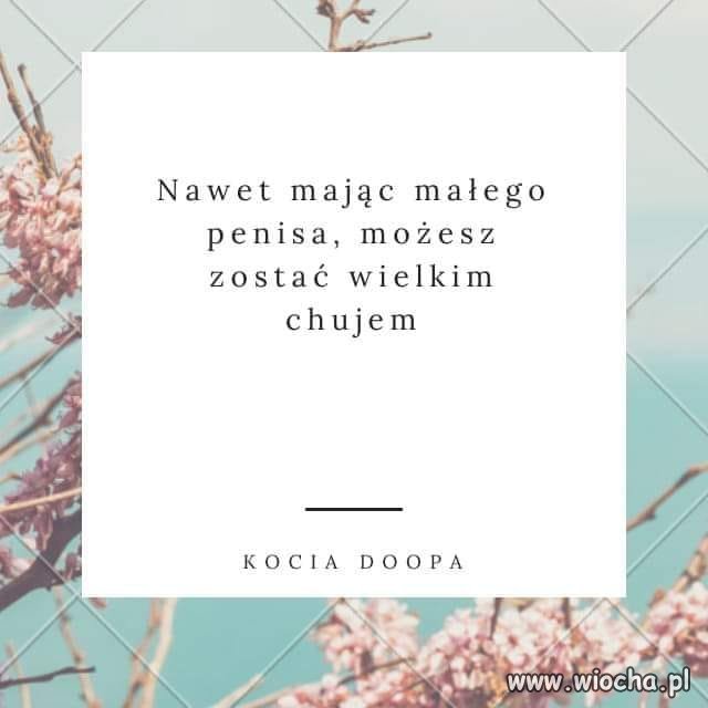 O kim mowa?