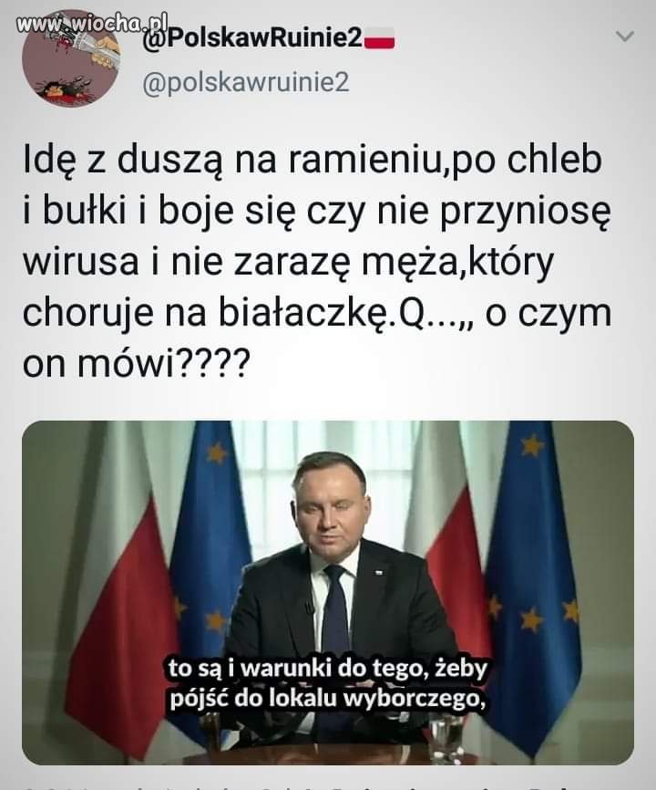 Bez tytułu. 