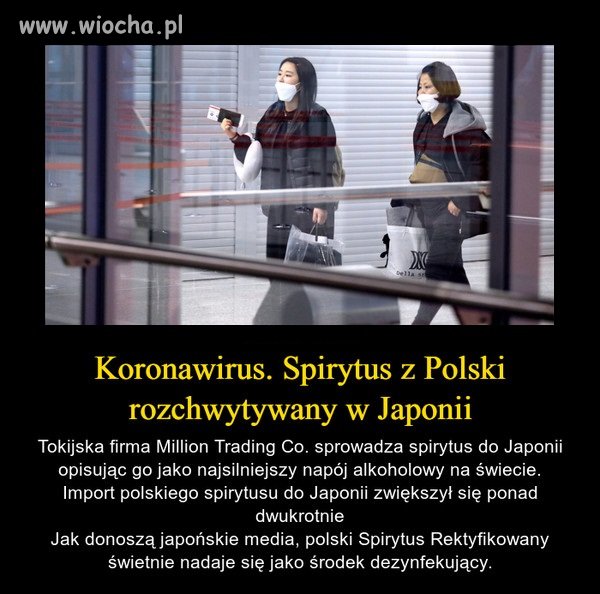 Polacy już dawno wynaleźli sposób na wszystkie wirusy 