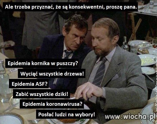Są konsekwentni