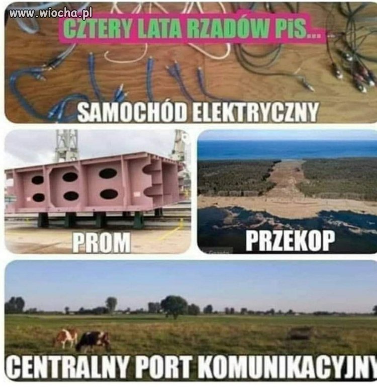 PiS w pigułce 